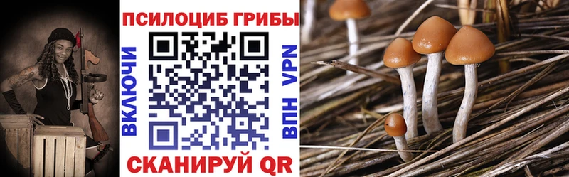 где найти   Харовск  Галлюциногенные грибы Psilocybine cubensis 