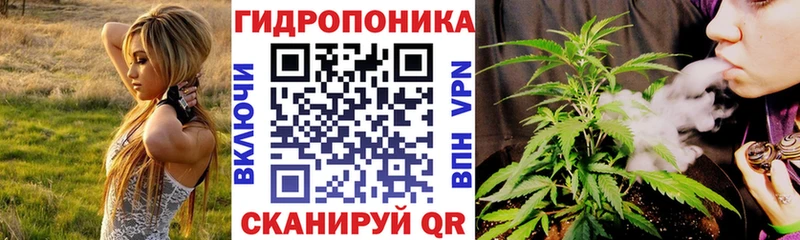 Бошки Шишки марихуана  KRAKEN ссылка  Харовск 